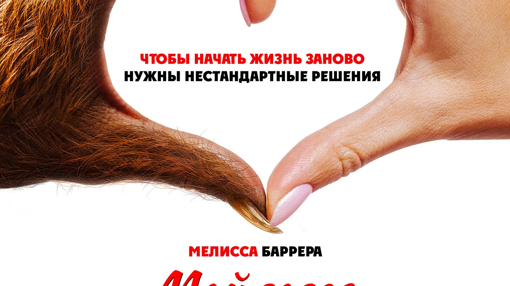 Мой сосед- монстр